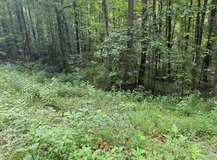 LOT 2 Timber Lake Dr, Cosby, TN 37722