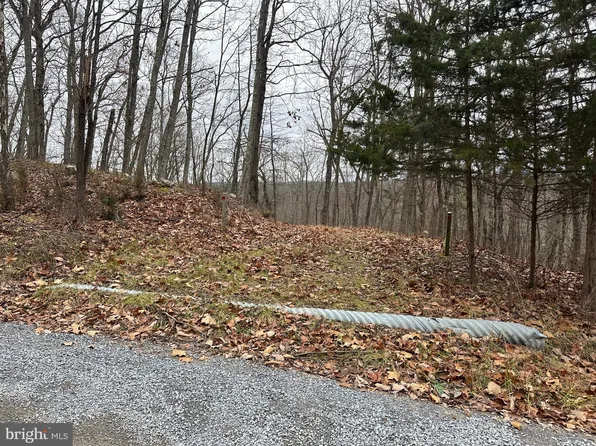 LOT 4 Sycamore Dr, Capon Bridge, WV 26711