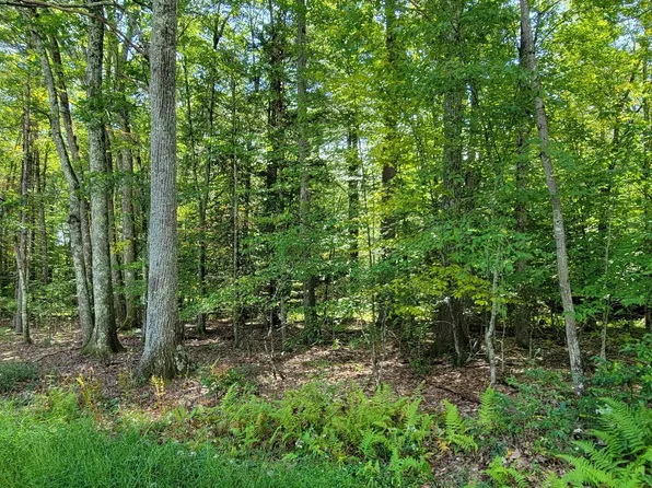 21 Mohn Rd, Narrowsburg, NY 12764