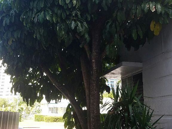 2nd image of 1443 West Ave APT 3