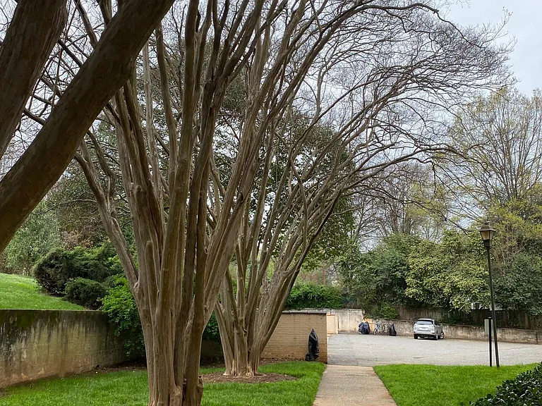 sidewalk to parking lot (around corner from this unit)