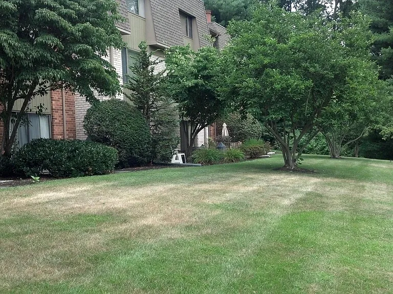 1161 Putnam Blvd — Photo 21