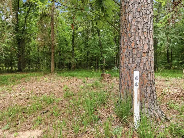 LOT 44 Sterling Shores Dr, Scroggins, TX 75480