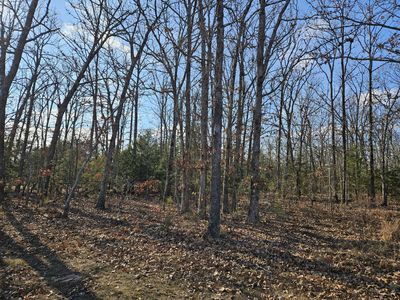Tract 4 State Highway 174, Marionville, MO, 65705