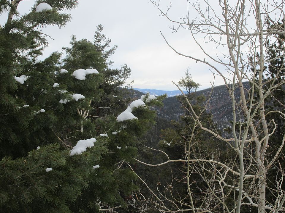 NW view from S. Firedog Way