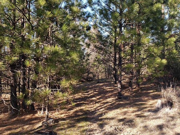 5th image of 1395 Ponderosa Way