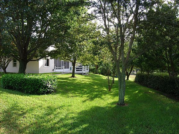 rear yard