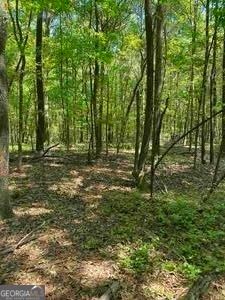 0 Planter Gunnell Rd, Hull, GA, 30646