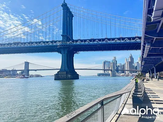 Rented by Alpha Properties NYC I LLC | media 6