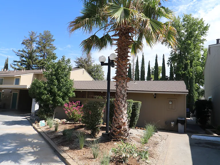 2305 Cheim Blvd #7 — Photo 6