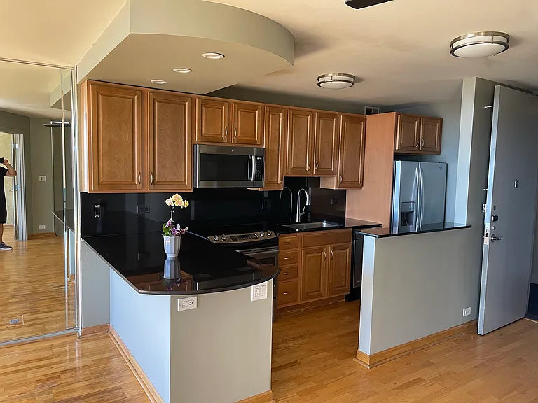 505 N Lake Shore Dr #1005 — Photo 19