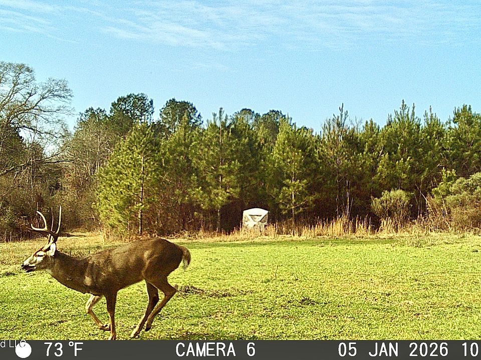 1st image of Jayess Rd