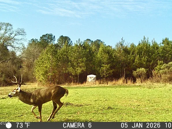 Jayess Rd, Jayess, MS 39641