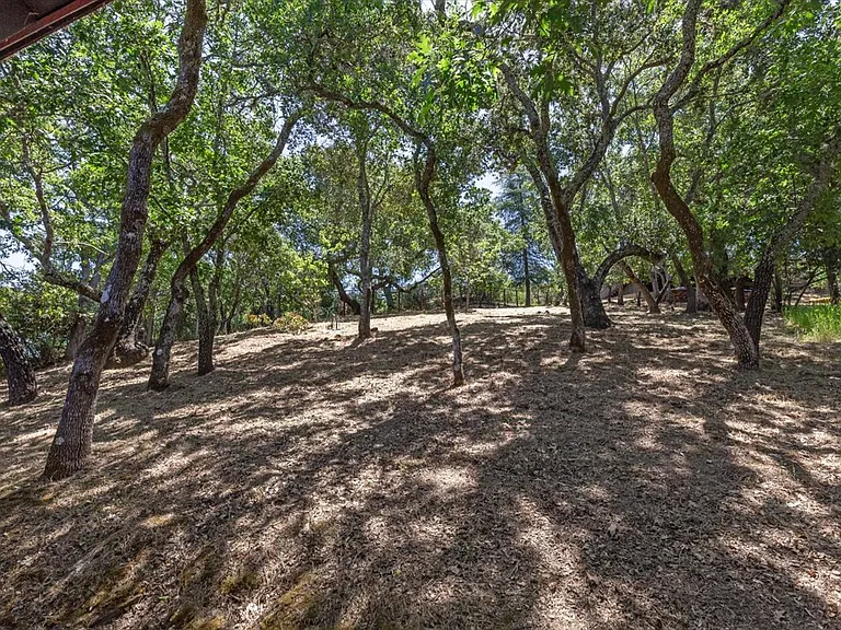 Portola Green Cir — Photo 32