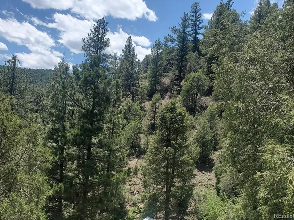 Laughing Valley Ranch Rd, Idaho Springs, CO 80452