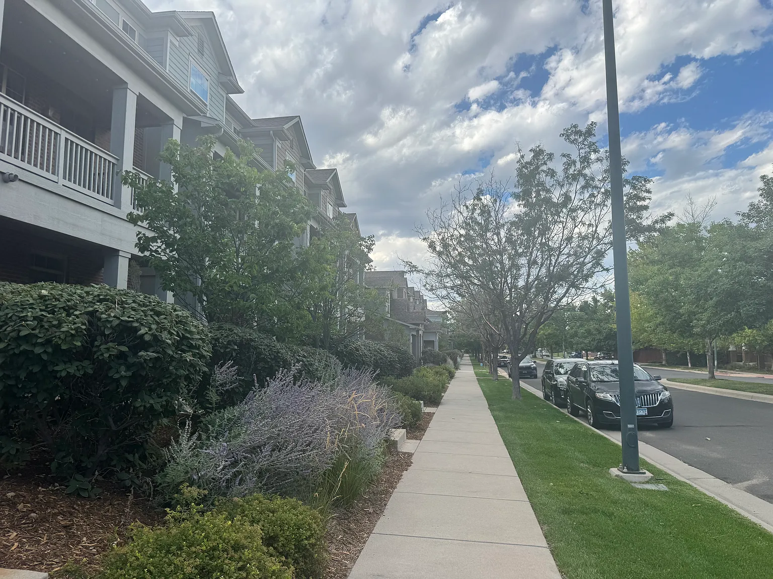 2 bed, 2.5 bath, 1097 sqft, $2,400 — Photo 2