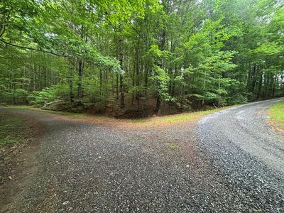 Lot 7 Horse Camp Drive LOT 7, Hayesville, NC, 28904