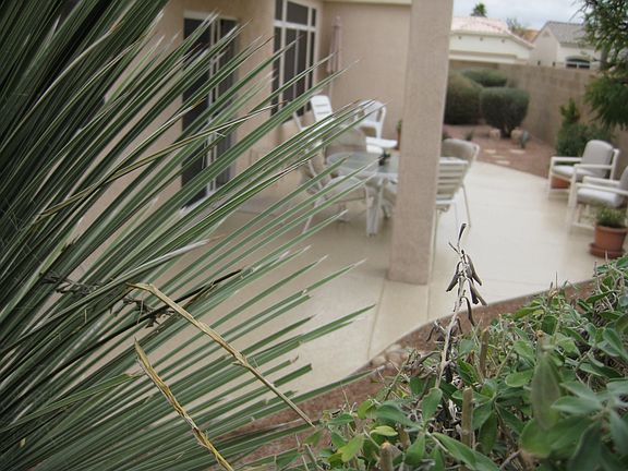 Private Patio