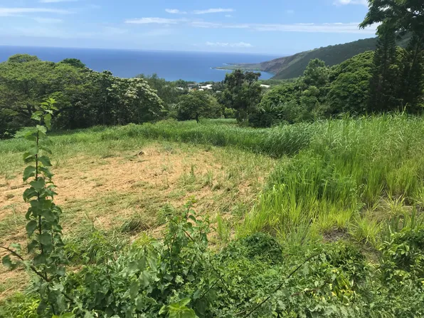 83-1025 Kahauloa Pl Lot 34, Captain Cook, HI 96704