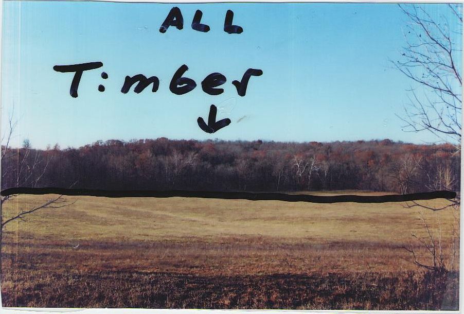 2nd image of 40 Acres Off Cr 3826