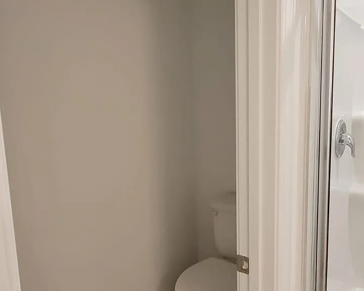 Bathroom within the Master bedroom