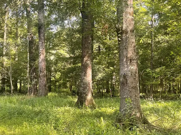 0 Norris Rd, Choudrant, LA 71227