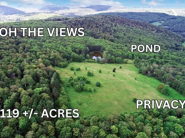 165 Ridge Rd, Hamden, NY 13782