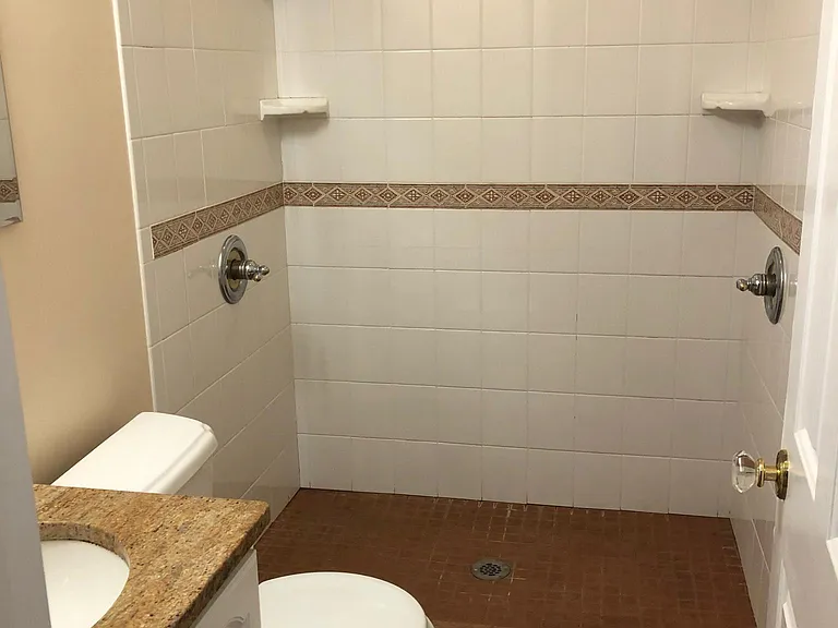Full lower level bath with walk-in shower.