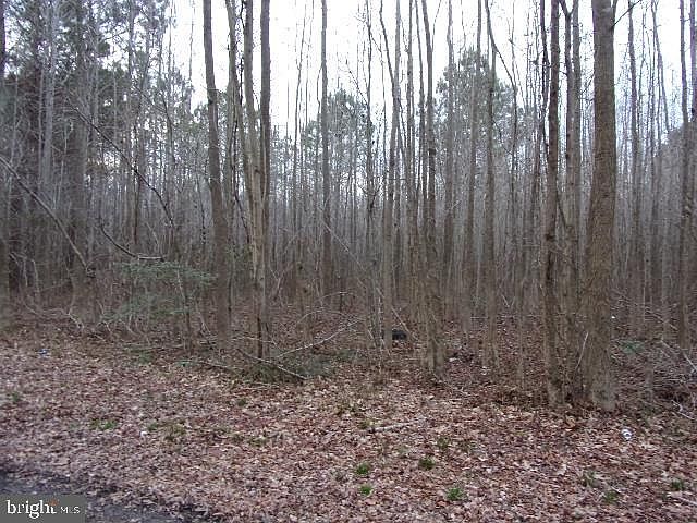 2nd image of 4911 Payne Rd