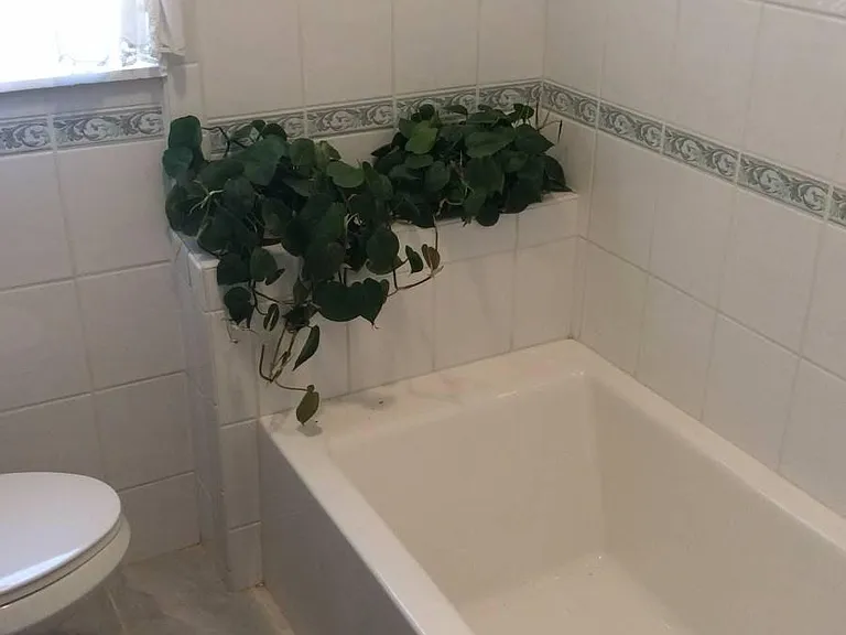 Bathroom downstairs.