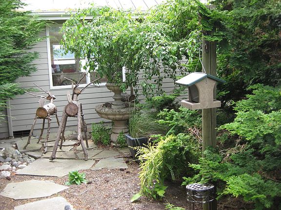 backyard by the kitchen area