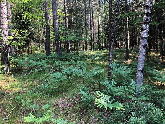 3rd image of LOT 52 Norway Ln