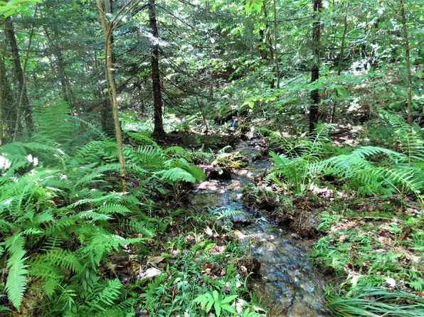 00 North Hill Pent Road, Ludlow, VT 05149