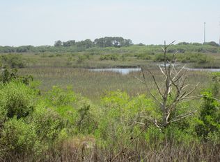 136 Spoonbill Point Ct, Saint Augustine, FL 32080