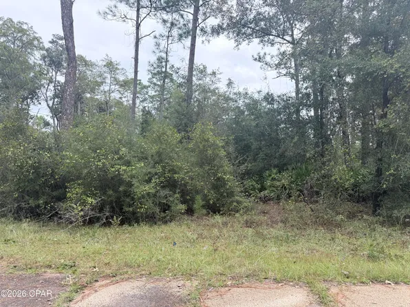 LOT 1 Wellington, Chipley, FL 32428