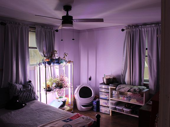 3rd image of 7 Alexander Street