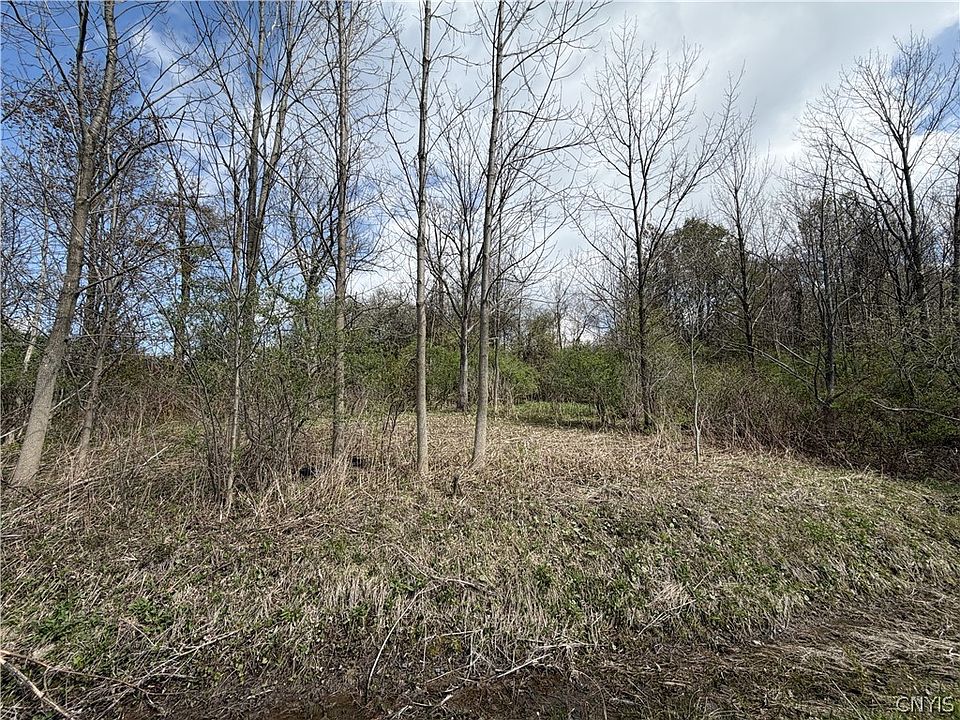 1st image of Route 167 Lot 10