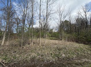 Route 167 Lot 10, Jordanville, NY 13361