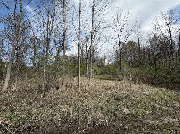 Route 167 Lot 10, Jordanville, NY 13361