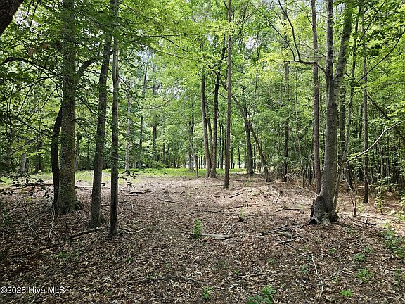 5th image of LOT 58 See View Ln