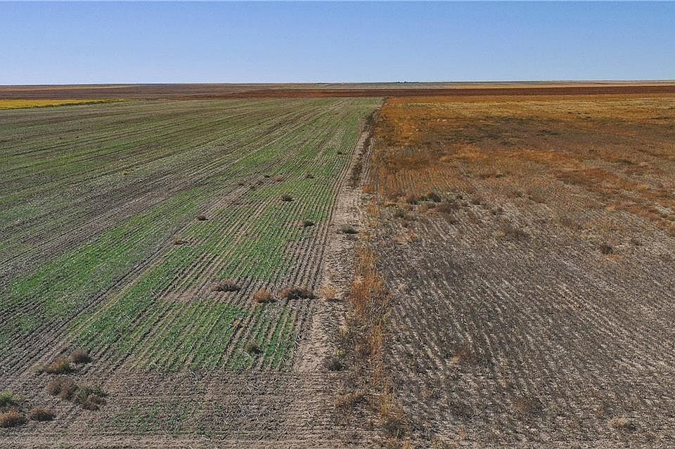 2nd image of County Line Rd