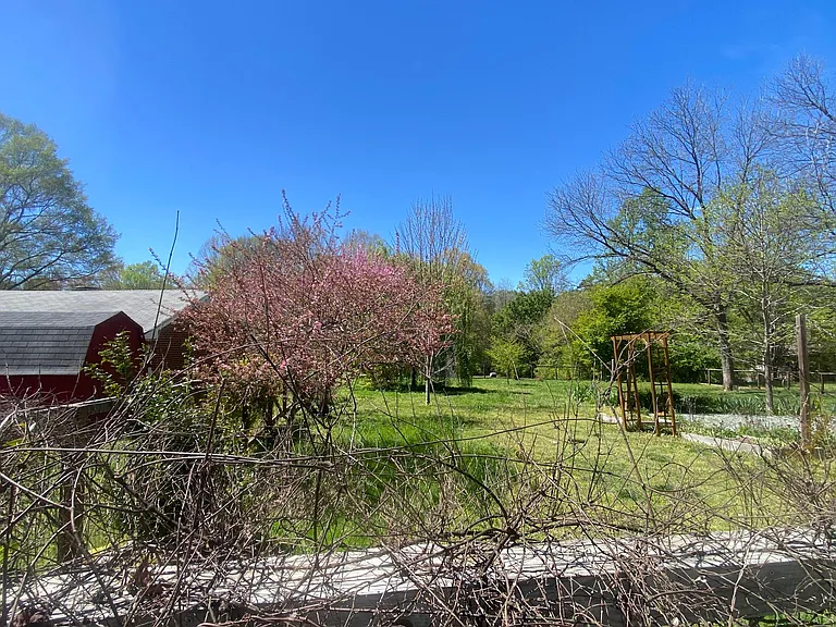 gardens in fenced in back yard
