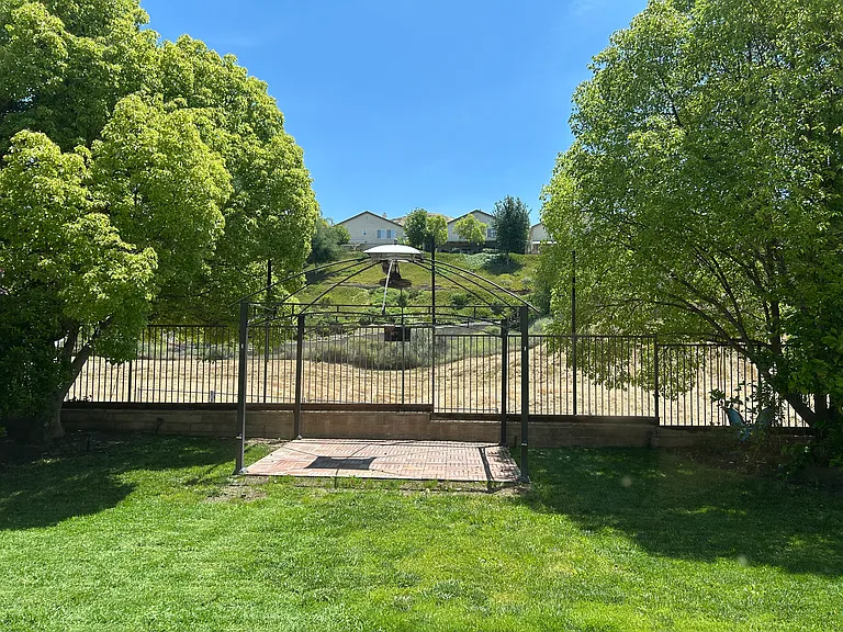 29138 Harmony Way — Photo 19