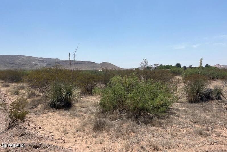 2nd image of 15473 Gus Hickerson Dr