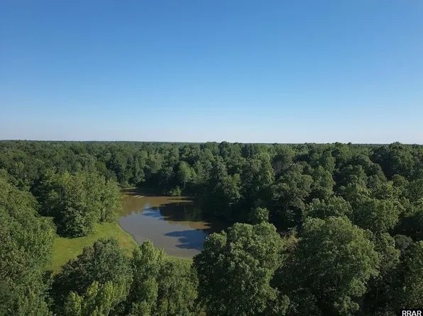 Glady Hollow Rd, Hornbeak, TN 38232