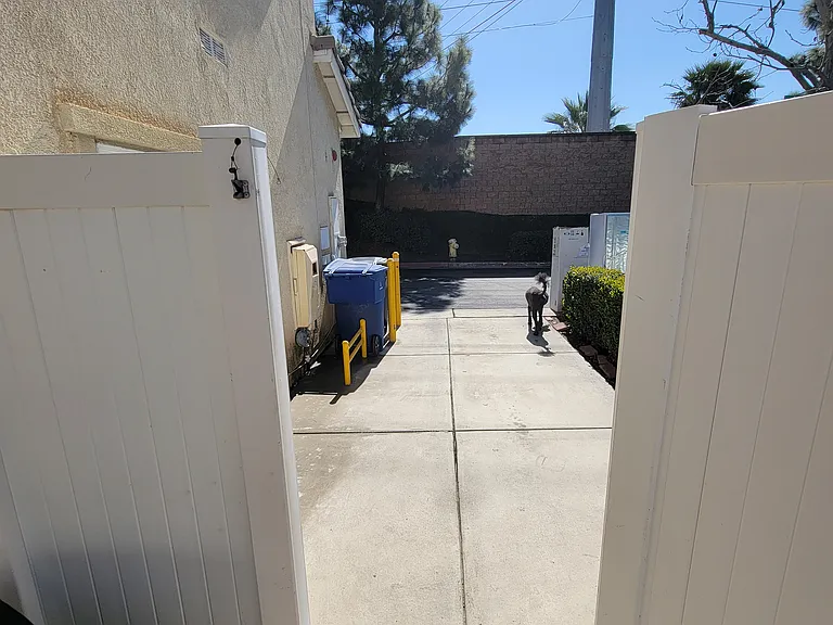 backyard/parking space