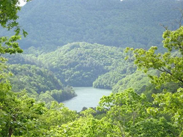 LOT 29 Lodge Fork Trl, Bryson City, NC 28713