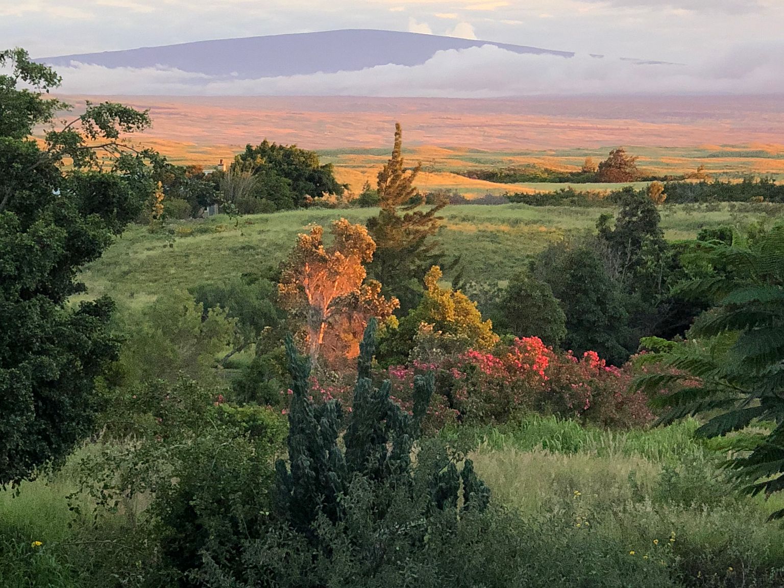 622202 Ouli St 1, Kamuela, HI 96743 Zillow