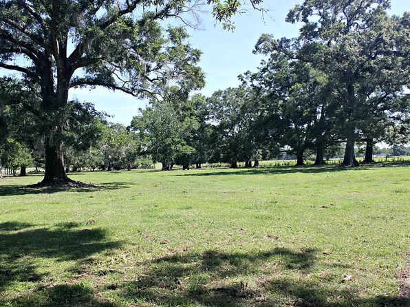 1915 W Highway 316, Citra, FL 32113
