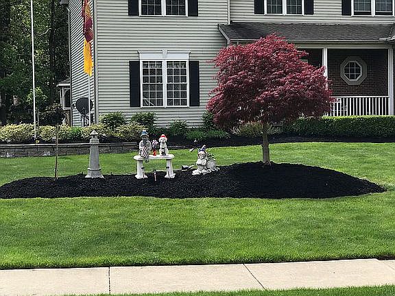 Beautiful Landscaping 